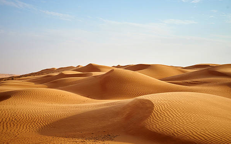 Wahiba Sands